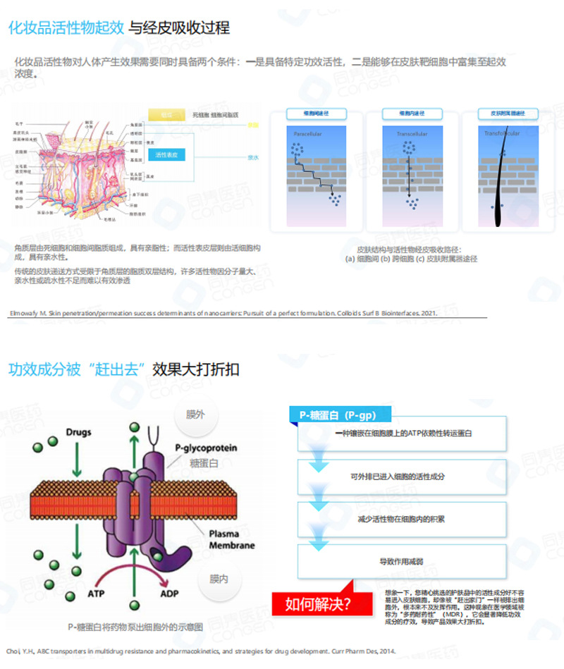 Oil-soluble anti-wrinkle active peptide_02.jpg