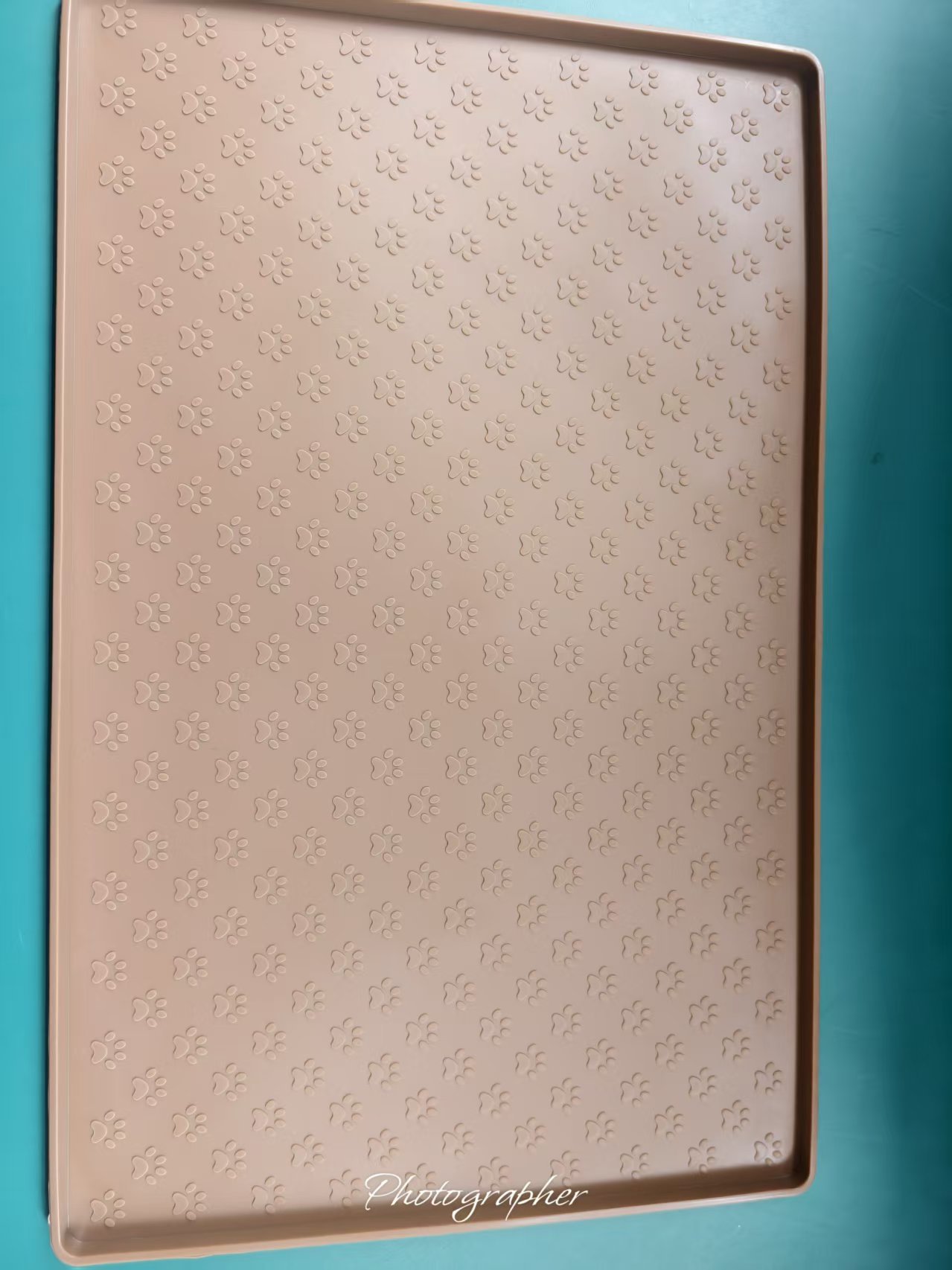 브라운()480*300