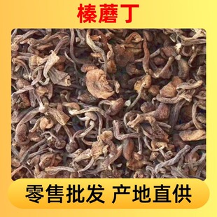 �������l �|��Ұ���Ģ��С�u��Ģ����؛�Ģ���l�S��ֱ��