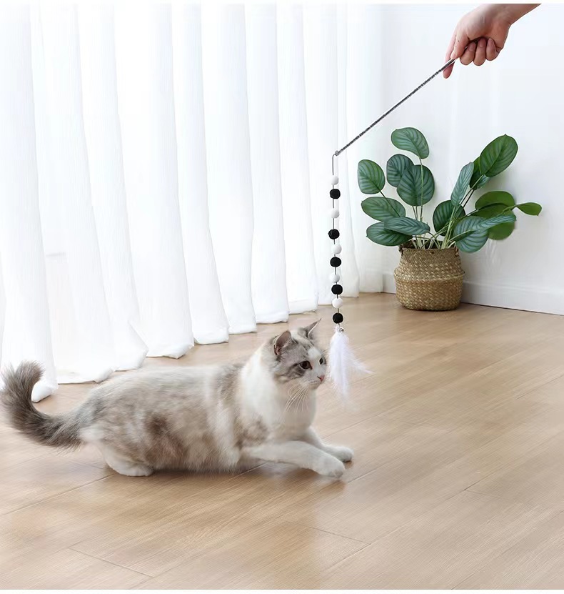 3a19700b726efe39e15ca8b0ff8c42