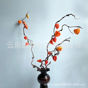 ��ʽ�L����Ȼ�ֹ���������֦��{�����\����������L�b�c����