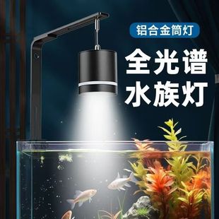 Aquarium Ecological Box Lighting Micro Landscape Moss Plant Growth Lamp Small Grass Tank Lamp Aquatic Plant Fish Tank Led Downlight