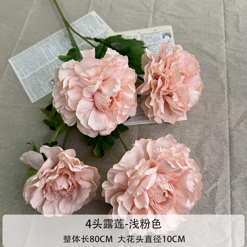 4등 연꽃