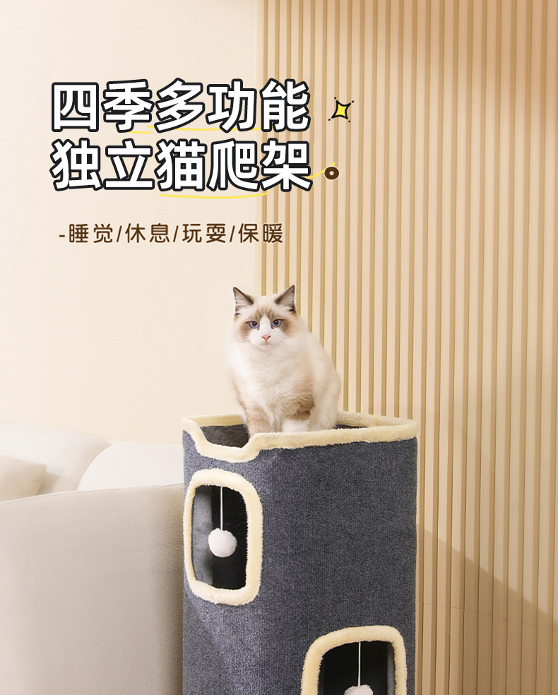 猫树洞