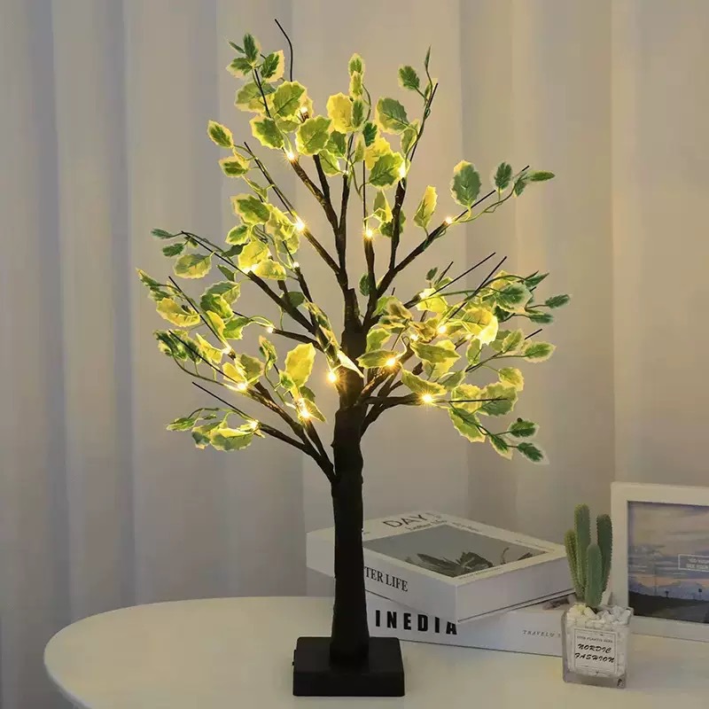 24 luces - abedul negro