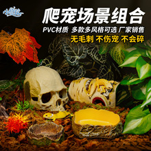 ���x��B��������׃ɫ���Ꭷ���ַ���ֲ�����B��ɳĮ�쾰�b�ȫ��