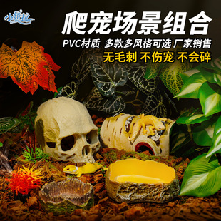 ���x��B��������׃ɫ���Ꭷ���ַ���ֲ�����B��ɳĮ�쾰�b�ȫ��