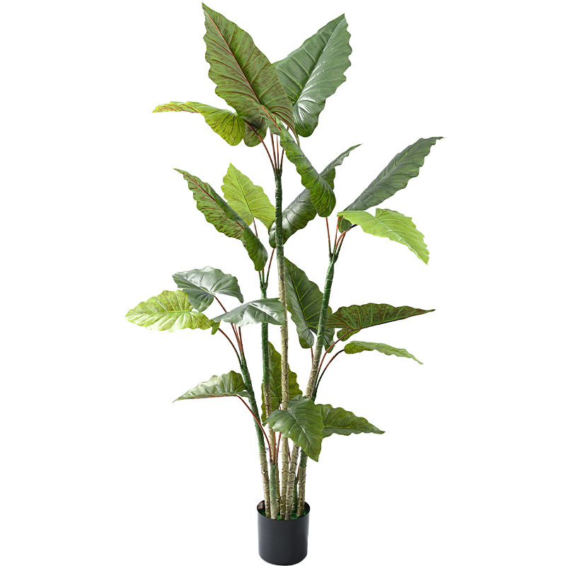 Ins風は緑をまねて虹の芋の木を植えます。|undefined