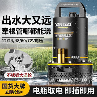 �P��ֱ����ˮ��12V48V72V�ƿ늄�܇��ˮ�����r�ù�ȴ���ˮ��