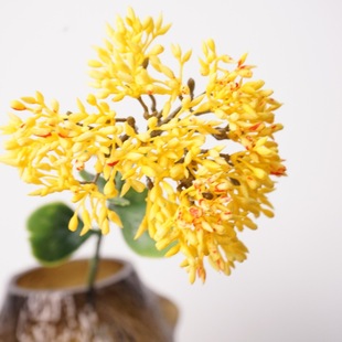 ����PU�ָ�ܛ�z�˻� �������мҾӔ[�O��ˇ�Ƶ� �͏d�b���˻�