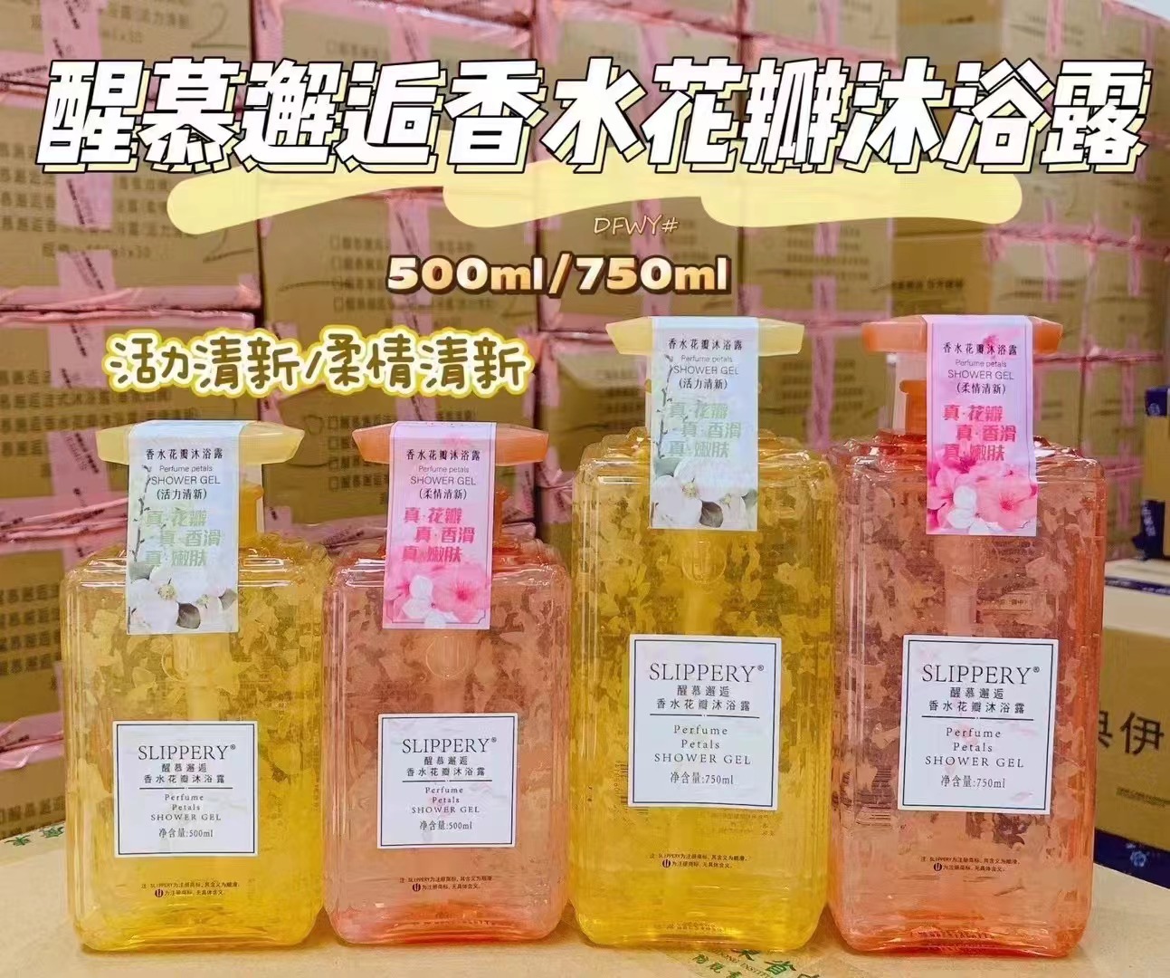 微信图片_20241018112326