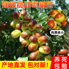 ���痗�����������ϱ������Ե���ͥԺ���������箔��Y��