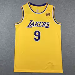 Embroidered jersey Lakers 9 James II Brownie JAMES JR. Basketball Suit Bronny James