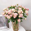 [Refraction Bubble Long rose flower EMS Air transport]Yunnan fresh flowers and plants a living room decorate One piece On behalf of