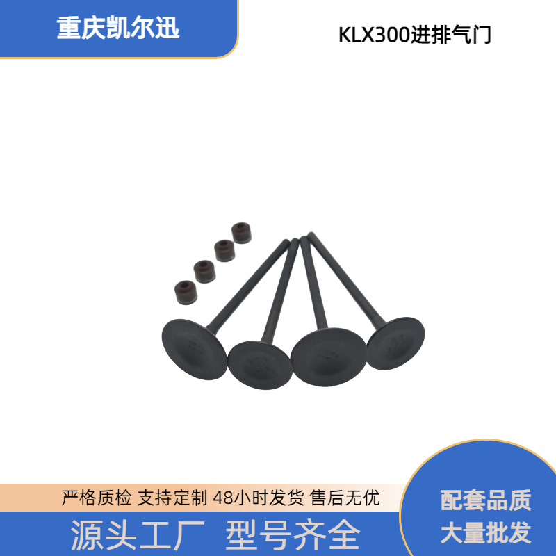 Motorcycle Engine Valve Kawasaki Klx250 Klx300 Yf300 Voge300Rr Oil Seal
