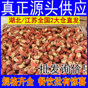 �o�����rβ�ش�̖����o�����ك�С���rβ�r���������l