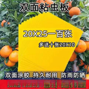 Greenhouse Sticky Insect Board Double-sided Yellow Board Orchard Special Blue Board Sticking Thrips Whitefly Trap Board Sticking Small Flying Insect Tea Garden