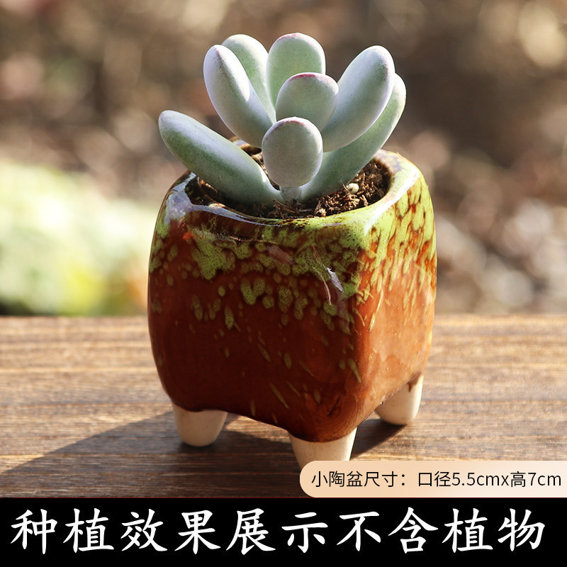 植木鉢の小さい新商品の缶のアイデアの磁器の缶の多い陶磁器の肉のミニ陶のレトロな家庭の陶磁器のたらいの園芸の太い新しいです。|undefined