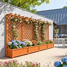 ��ɫ�������ټ�ľ���ܑ���ͥԺ�Nֲ����ľ�����̨�řڻ���܇���