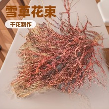 永生花束 家居diy干花花材雪柳干花拍摄道具家居插花风干田园