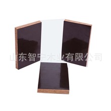 �����R�����z���ɫ��Ĥ��Ō�ʮ�ӹ�����ˮģ�� ��ڸ�Ĥ���ư�