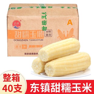 �|���Ŵ����40֧���� �|���ك�ճŴ�SŴ���װ� ���rA���������