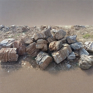 Aquarium Fish Tank Natural Landscaping False Melaleus Rock Landscaping Stone Micro Landscape Park Decorative Stone Ornaments