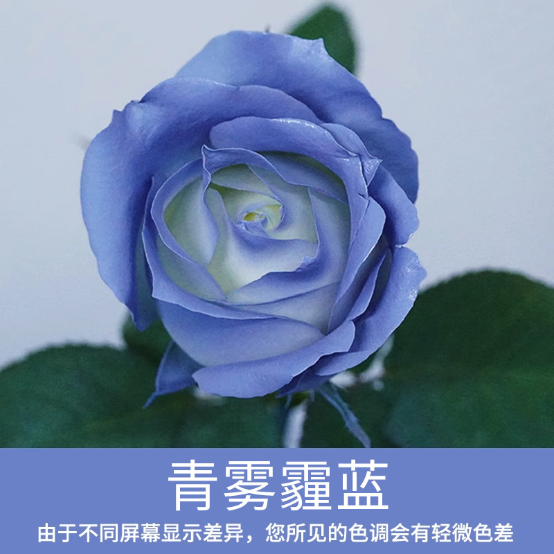 Material de embalaje de flores frescas Agente de tinción en aerosol de flores secas Salsa de ciruela negra Pintura en aerosol de flores Pintura en aerosol de flores Agente de color de flores