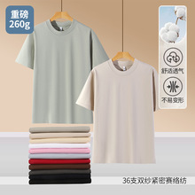 �ذ�260���p��T��������猒�ɈA�I������Ů���ƴ�����羳����