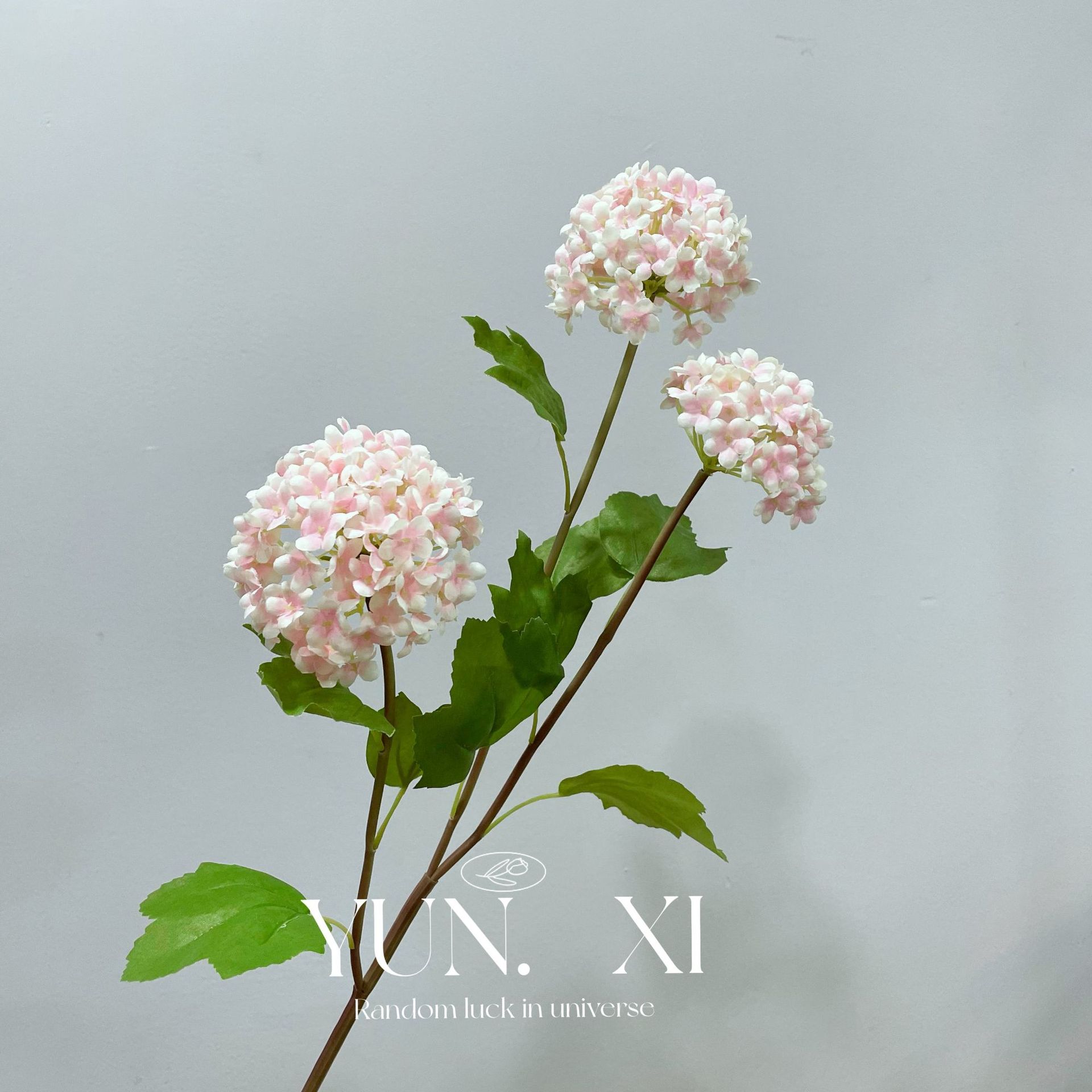 분홍색