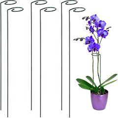 アマゾンの花棚の鉄芸は針金の花園の支柱の固定棒の植物を支えて蘭の支柱の植物の杭を支えます。