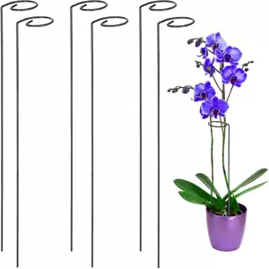 Amazon Flower Stand Iron Support Wire Garden Bracket Fixed Rod Plant Support Orchid Pillar Plant Pile