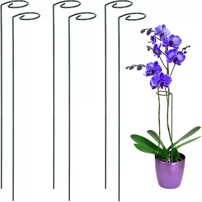 Amazon Flower Stand Iron Support Wire Garden Bracket Fixed Rod Plant Support Orchid Pillar Plant Pile