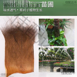 棕树皮棕榈树皮山棕片棕毛绿萝棒鱼苗孵化产卵园林花卉盆景绿化