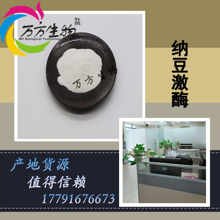 纳豆激酶 5000FU/G 支持检测 枯草杆菌蛋白酶 万方现货 NK纳豆粉|ms