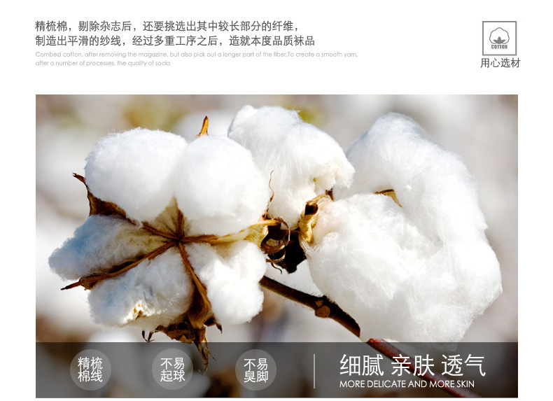 详情图片_1.jpg?x-oss-process=image/format,png