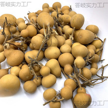 �~�w���J���С�~�ں��J�w�~������肿ڱǟ���ľ�|�S��ֱ�N