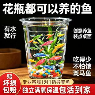 �ǹ��߲ʰ��R�~�o��������^�pС�~�ͻ���B�Ꭷ�����~�������T��