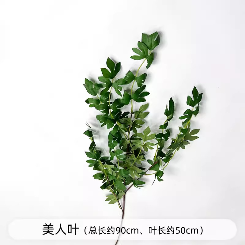 芦荀草绿植花龙须草假花白绿森系婚庆装饰自然风背景插花路引|undefined