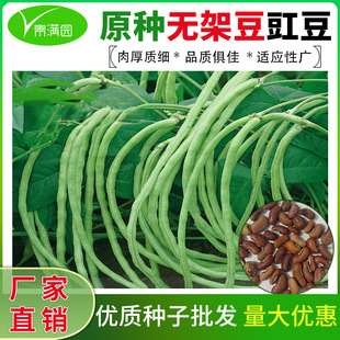 �o�ܶ��ǷN�Ӵ�ȫ������L�����N�Ӱ�ܿ�ϼܶ�����t�����߲˷N��