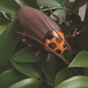 �羳���M�¿������b����� ������ϐ�����懘�˄������ģ��