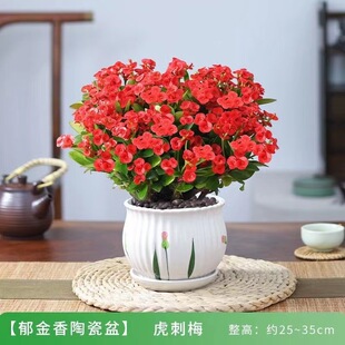 ����÷���������׻�ֲ���҃��k�����̨�ͺ��F���Ļ��ļ��_������