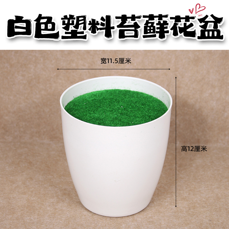 Plástico blanco Moss Bowl