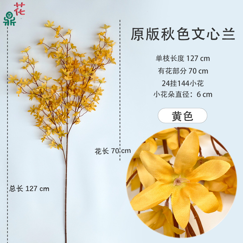Ophiopogon mùa thu nguyên bản - Màu vàng