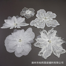 ����ˮ�ܾW����Ƭ��ʽ�Y��ë������ë���Ӵ̽��������b����w��