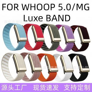 �m��whoop5.0/MG�پWͬ���֭h�펧band�������������\����Q��