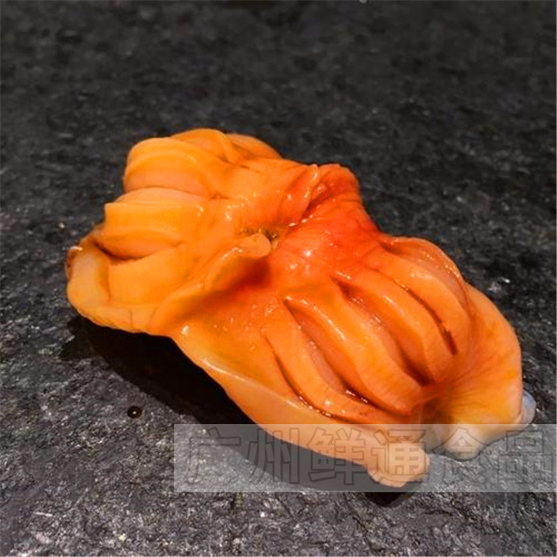 河豚鱼供应市场动态：守正出奇，共绘产业新画卷