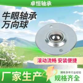 微型冲压万向球牛眼轴承KSM12-FL SP-60钢球牛眼万向球