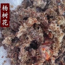 杨树花 1kg中药材 杨树须 杨树芽 杨树花 杨絮