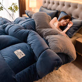 冬季羊羔绒冬被加厚保暖加绒被子被芯双人棉被褥子冬天单人宿舍床